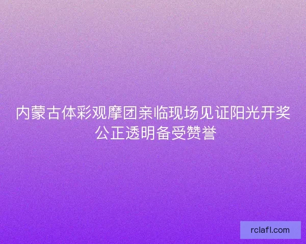内蒙古体彩观摩团亲临现场见证阳光开奖 公正透明备受赞誉