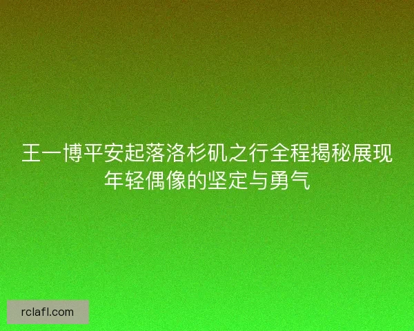 王一博平安起落洛杉矶之行全程揭秘展现年轻偶像的坚定与勇气